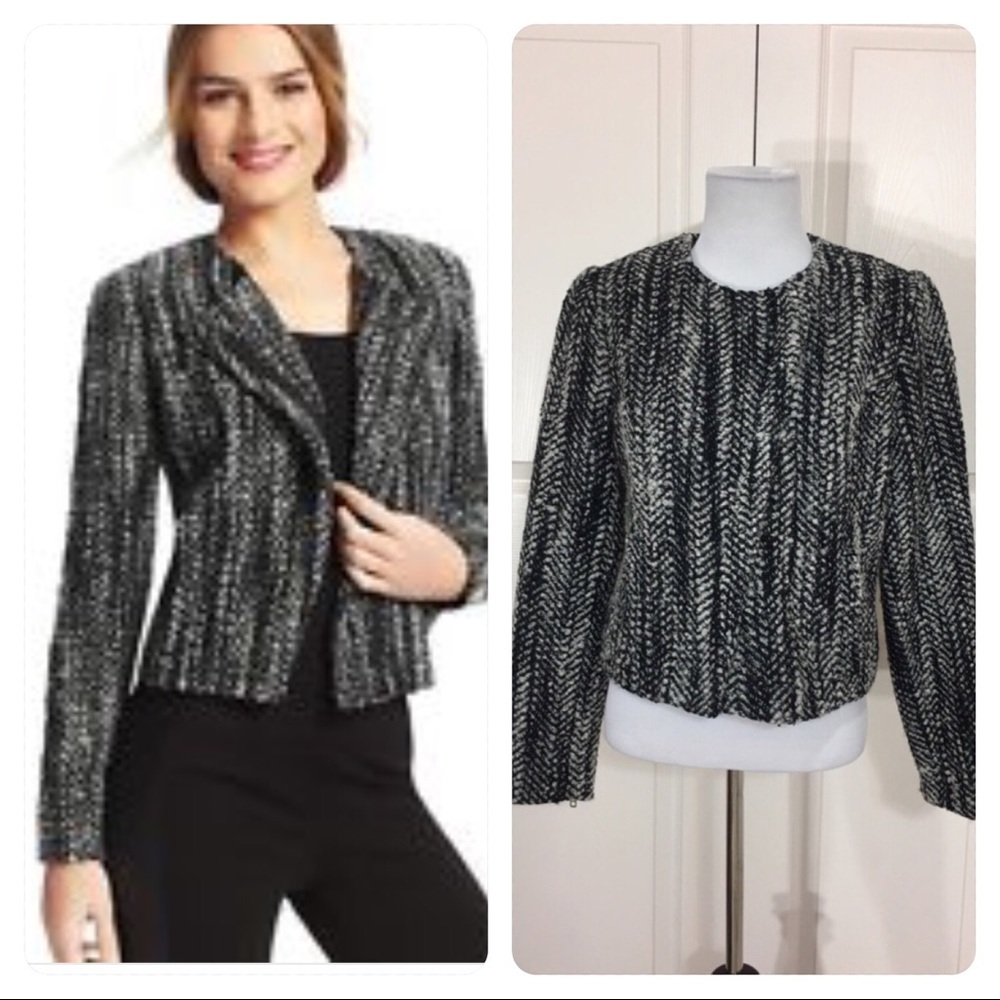 CAbi "Over The Moon" Mockingbird Jacket